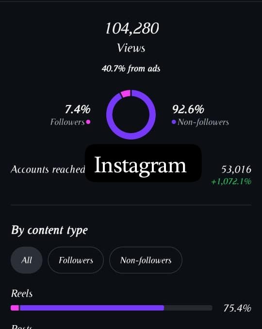 insta analytics
